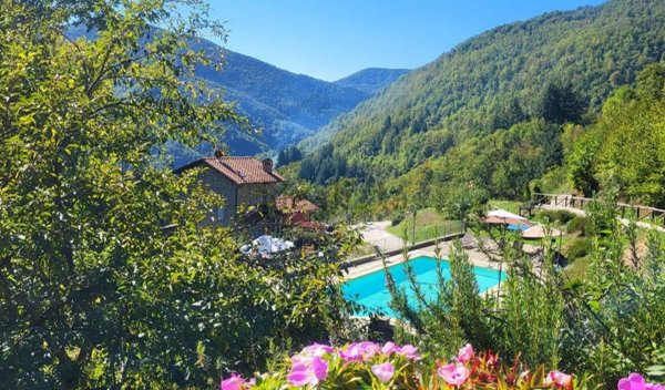 casa indipendente in vendita a Fabbriche di Vergemoli