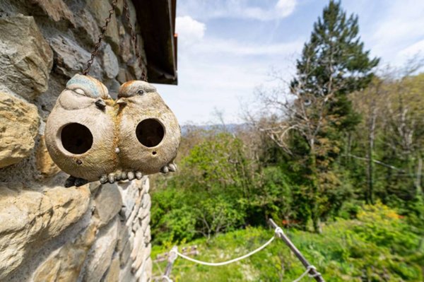 casa indipendente in vendita a Fabbriche di Vergemoli in zona Calomini