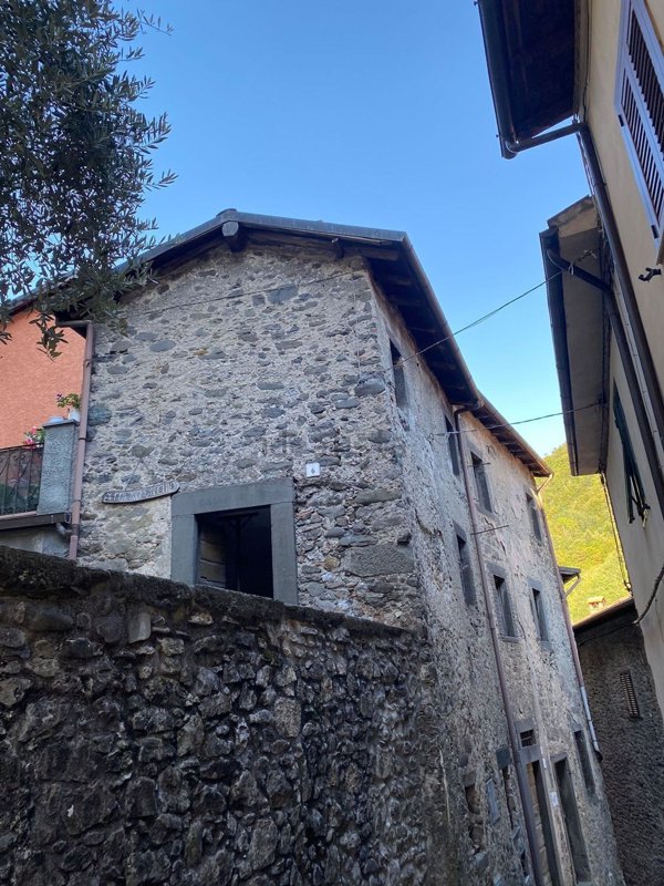 pentavano in vendita a Fabbriche di Vergemoli in zona Fabbriche di Vallico