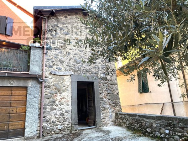 esavano in vendita a Fabbriche di Vergemoli in zona Fabbriche di Vallico