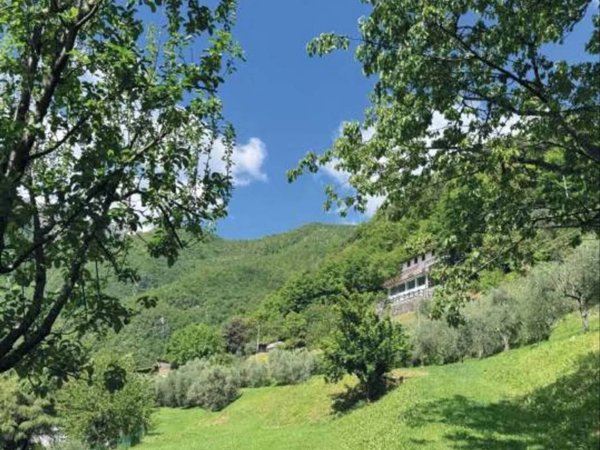 casa indipendente in vendita a Fabbriche di Vergemoli in zona Vergemoli