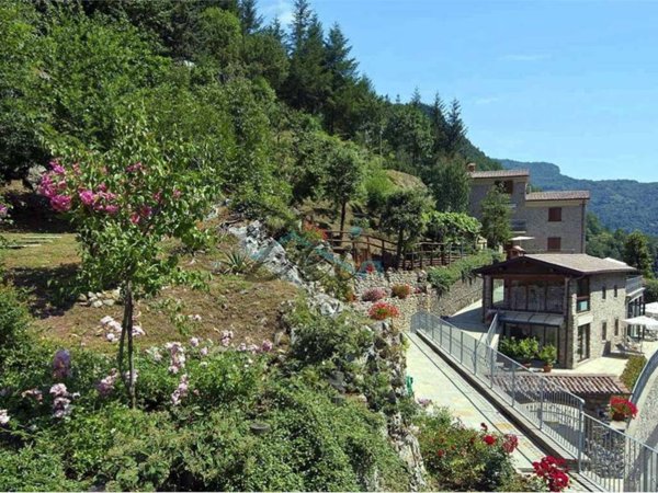 casa indipendente a Fabbriche di Vergemoli in zona Fabbriche di Vallico