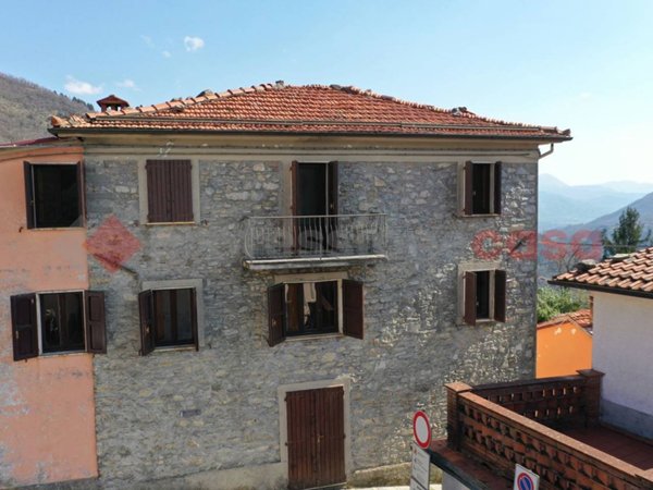 casa indipendente in vendita a Fabbriche di Vergemoli in zona Vergemoli