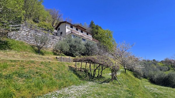 casa indipendente in vendita a Fabbriche di Vergemoli in zona Vergemoli
