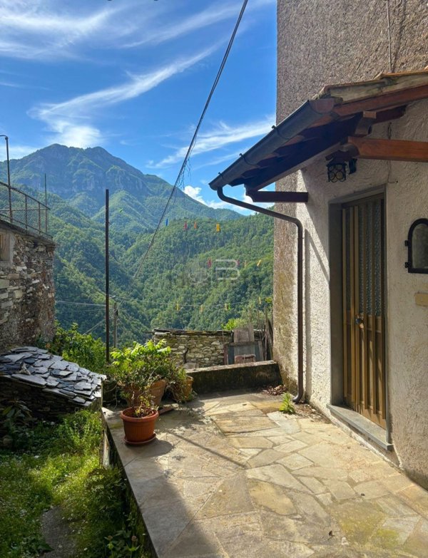 casa indipendente in vendita a Fabbriche di Vergemoli in zona Campolemisi