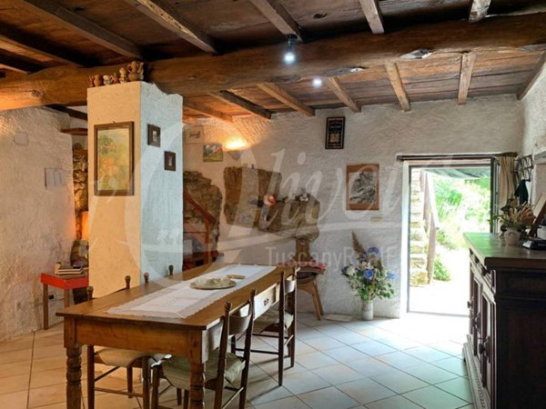 casa indipendente in vendita a Fabbriche di Vergemoli in zona Vergemoli