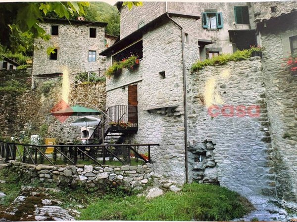 casa indipendente a Fabbriche di Vergemoli in zona Fabbriche di Vallico
