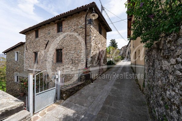 casa indipendente a Fabbriche di Vergemoli in zona Fabbriche di Vallico