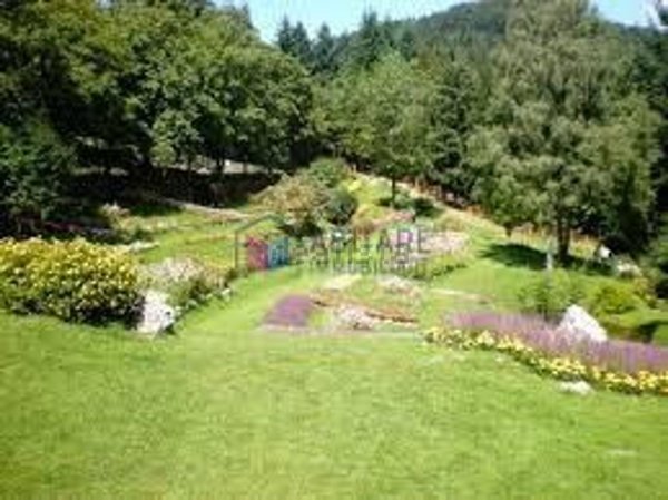 appartamento in vendita a Sillano Giuncugnano in zona Sillano