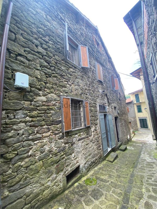 casa indipendente in vendita a Sillano Giuncugnano in zona Sillano