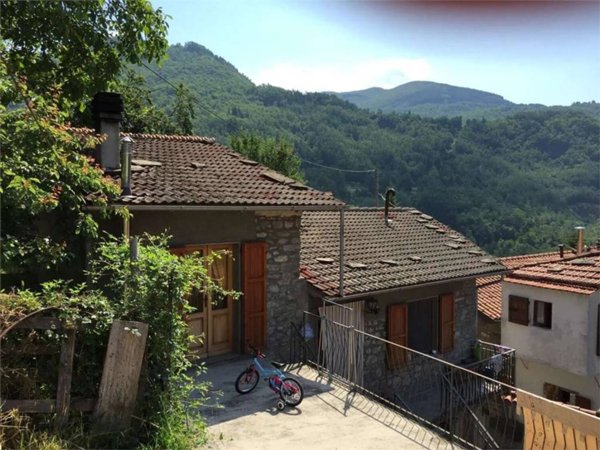 casa indipendente in vendita a Sillano Giuncugnano in zona Sillano