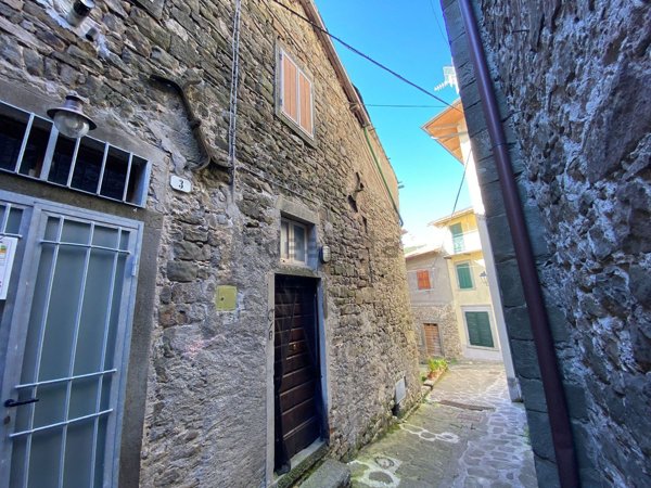 casa indipendente in vendita a Sillano Giuncugnano in zona Sillano