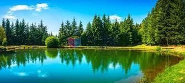 appartamento in vendita a Sillano Giuncugnano in zona Sillano