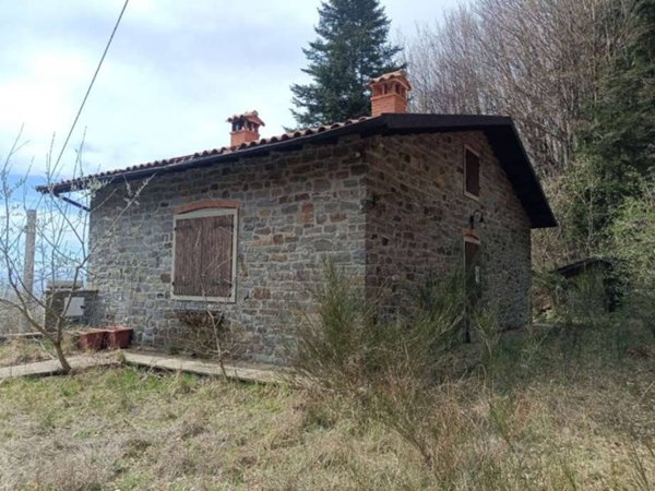 casa indipendente in vendita a Sillano Giuncugnano in zona Capanne