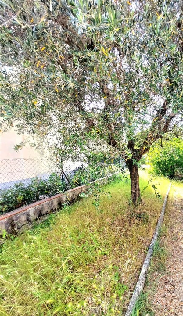 casa indipendente in vendita ad Agliana
