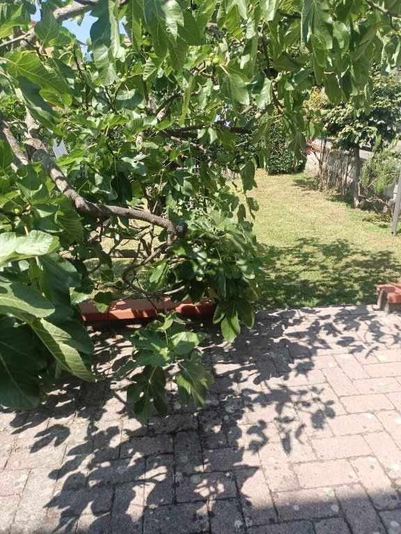 appartamento in vendita ad Agliana in zona Spedalino
