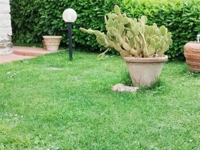 casa indipendente in vendita ad Agliana