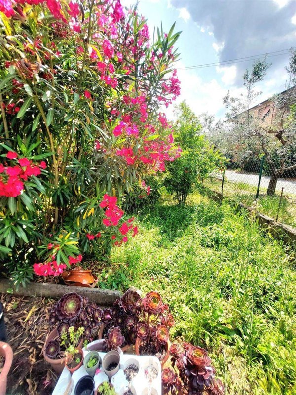 casa indipendente in vendita ad Agliana