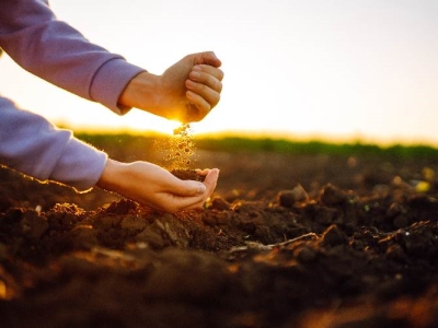 terreno agricolo in vendita ad Agliana