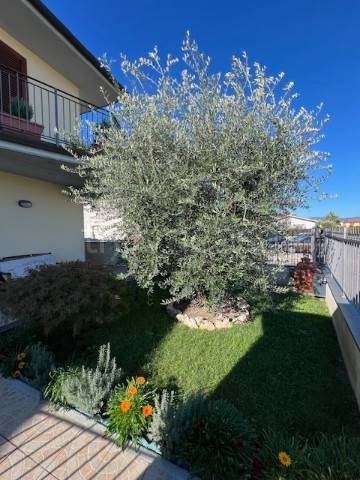 appartamento in vendita ad Agliana