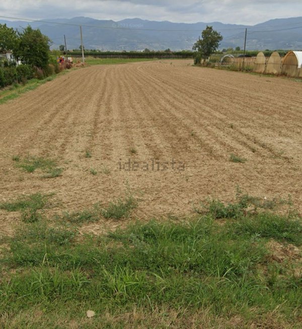terreno agricolo in vendita ad Agliana
