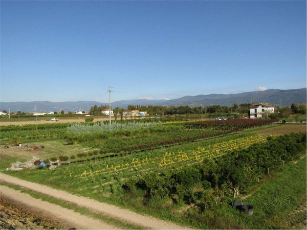 terreno agricolo in vendita ad Agliana in zona Ferruccia