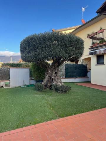 appartamento in vendita ad Agliana