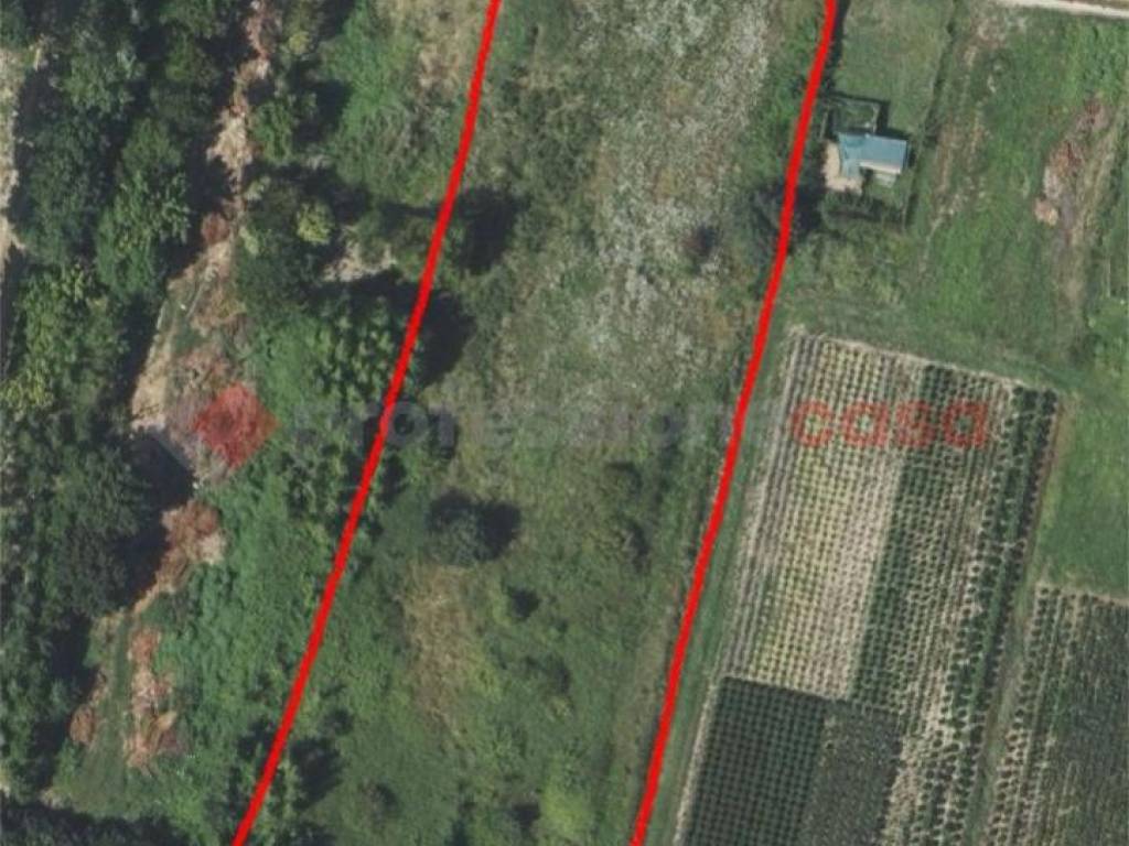 casa indipendente in vendita ad Agliana