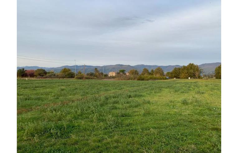 terreno agricolo in vendita ad Agliana