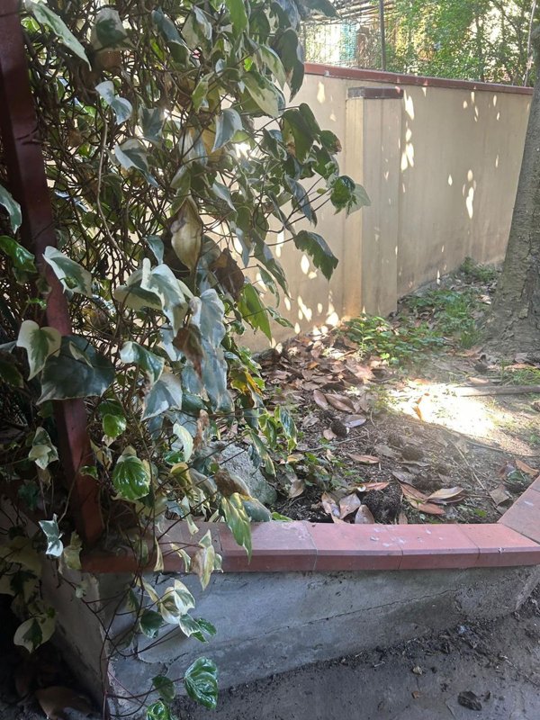 casa indipendente in vendita ad Agliana in zona San Niccolò