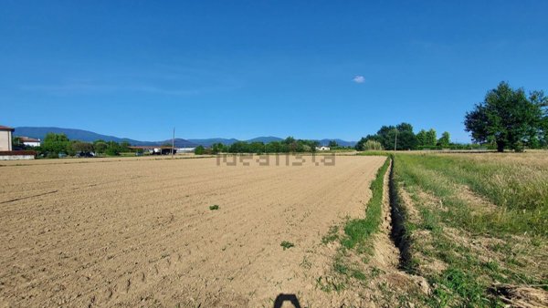 terreno agricolo in vendita ad Agliana