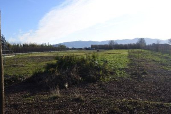 terreno in vendita ad Agliana