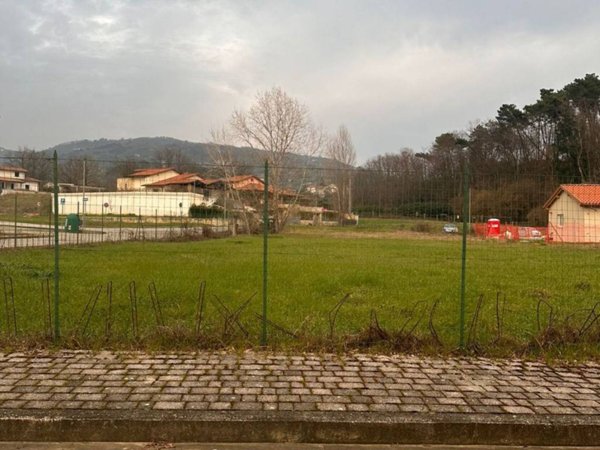 terreno agricolo in vendita a Buggiano