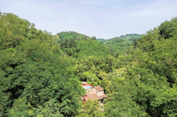 casa indipendente in vendita a Buggiano in zona Colle di Buggiano