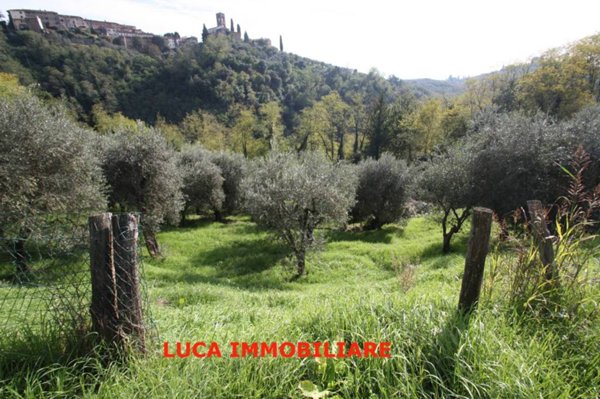 terreno agricolo in vendita a Buggiano