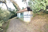 terreno agricolo in vendita a Buggiano