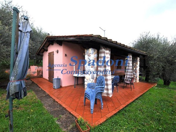 terreno agricolo in vendita a Buggiano in zona Colle di Buggiano