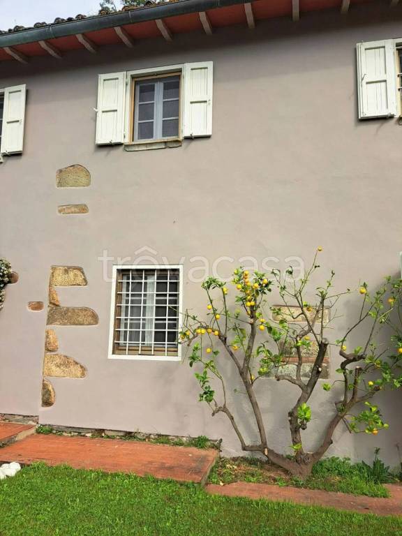 casa indipendente in vendita a Buggiano