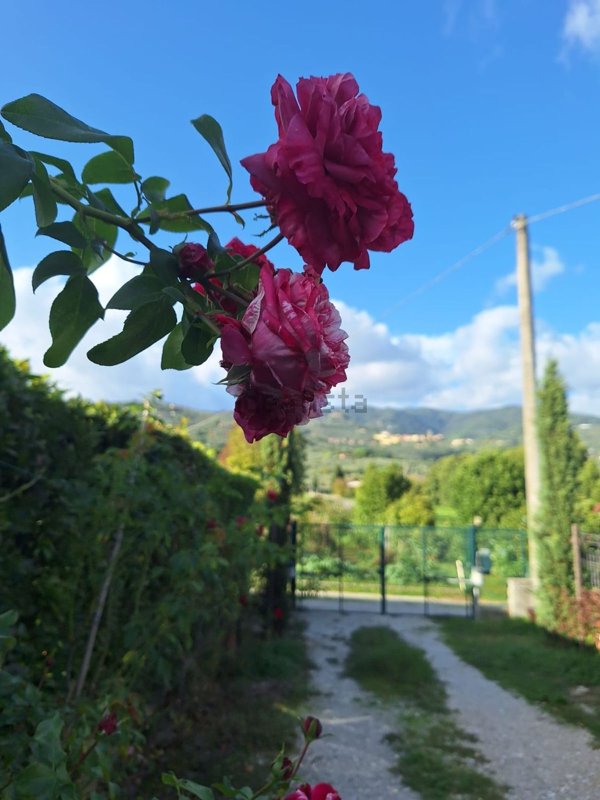 casa indipendente in vendita a Buggiano