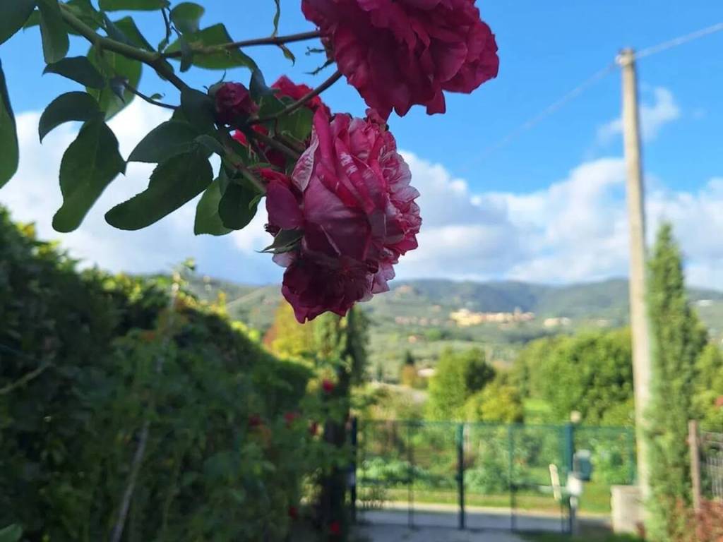 casa indipendente in vendita a Buggiano
