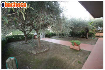 appartamento in vendita a Buggiano in zona Borgo a Buggiano