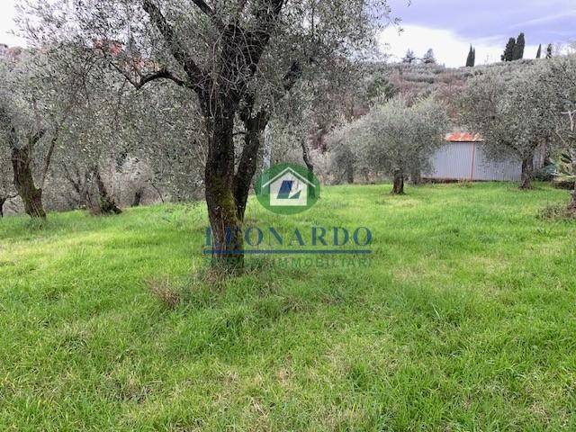 terreno agricolo in vendita a Buggiano in zona Colle di Buggiano