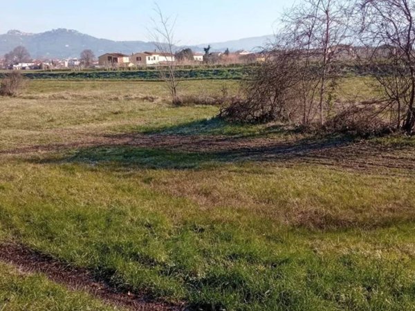 terreno agricolo in vendita a Buggiano in zona Borgo a Buggiano