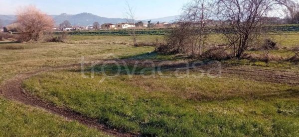 terreno agricolo in vendita a Buggiano