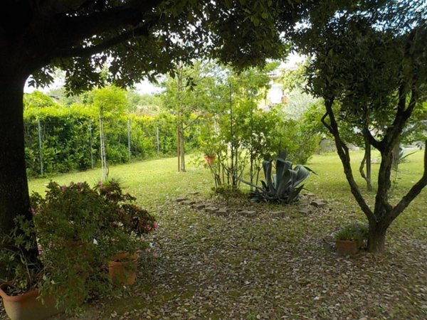 appartamento in vendita a Buggiano in zona Santa Maria