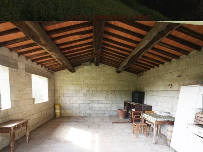 terreno agricolo in vendita a Buggiano