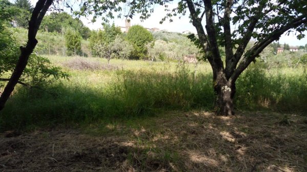 appartamento in vendita a Buggiano in zona Stignano