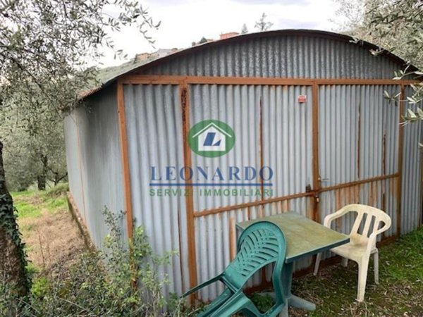 terreno agricolo in vendita a Buggiano in zona Colle di Buggiano