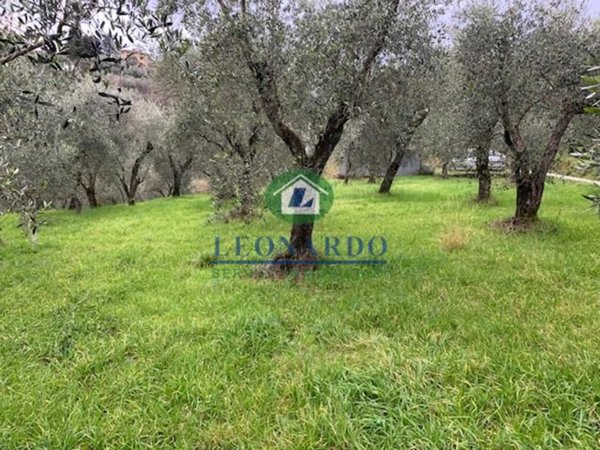 terreno agricolo in vendita a Buggiano in zona Colle di Buggiano