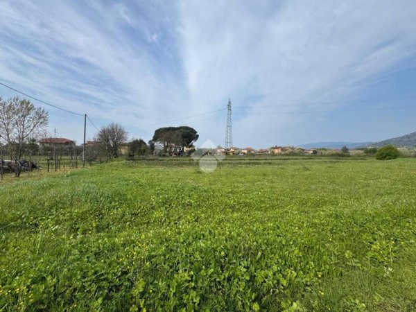 terreno agricolo in vendita a Buggiano in zona Borgo a Buggiano